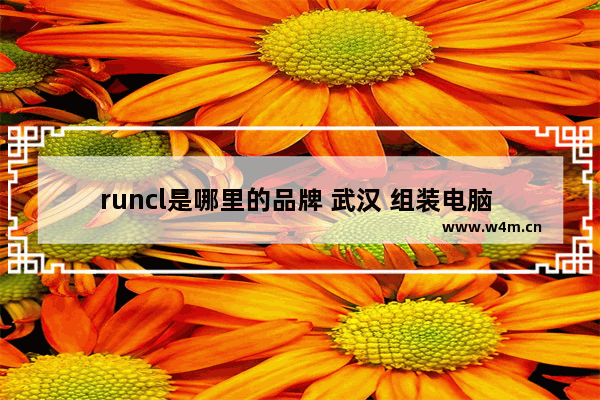 runcl是哪里的品牌 武汉 组装电脑 品牌