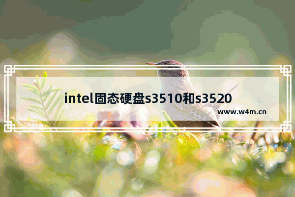 intel固态硬盘s3510和s3520区别 n3520固态硬盘