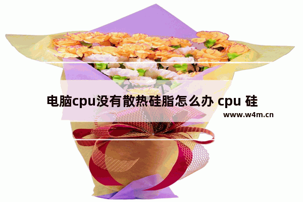 电脑cpu没有散热硅脂怎么办 cpu 硅脂没了