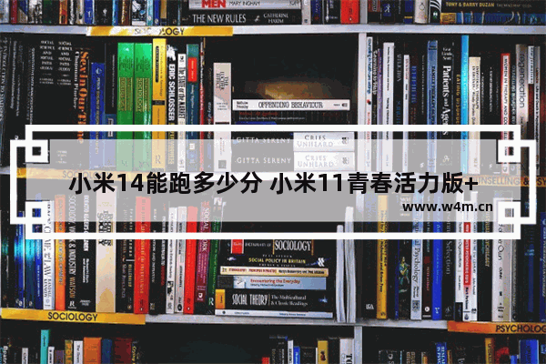 小米14能跑多少分 小米11青春活力版++