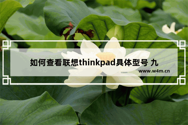 如何查看联想thinkpad具体型号 九号电动车各型号参数