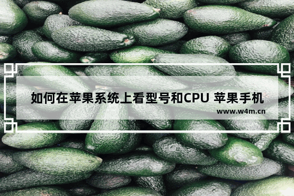 如何在苹果系统上看型号和CPU 苹果手机如何查看cpu