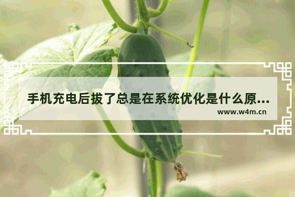 手机充电后拔了总是在系统优化是什么原因 笔记本电脑系统优化