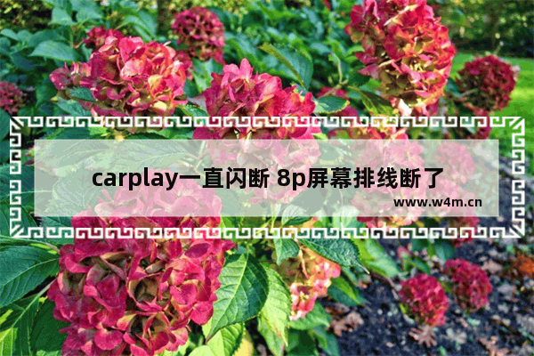 carplay一直闪断 8p屏幕排线断了会频繁重启吗