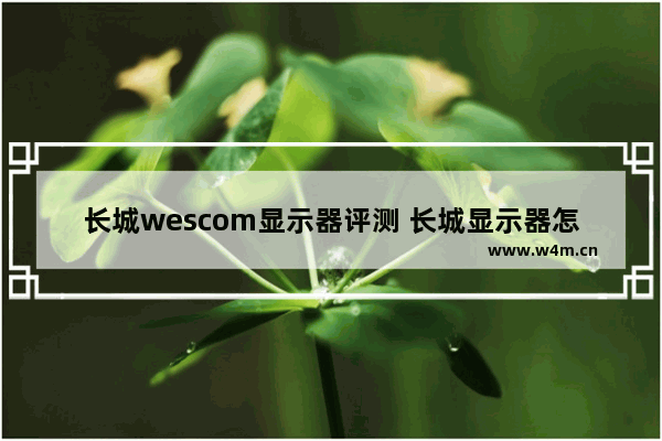 长城wescom显示器评测 长城显示器怎么样