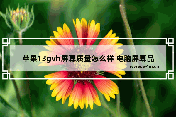 苹果13gvh屏幕质量怎么样 电脑屏幕品牌hg