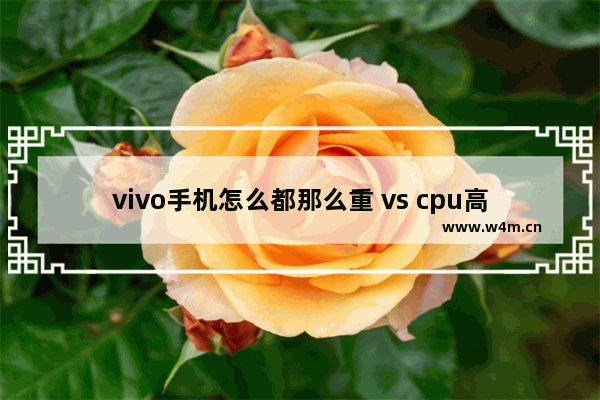 vivo手机怎么都那么重 vs cpu高