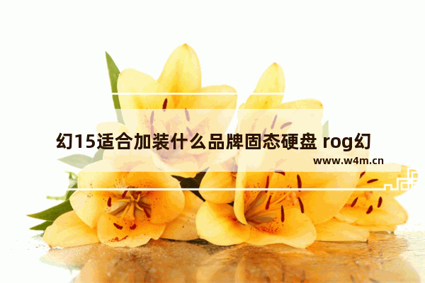 幻15适合加装什么品牌固态硬盘 rog幻16翻转版值得购买吗