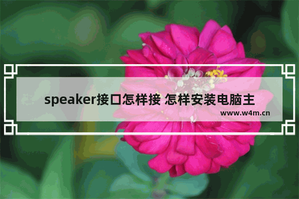 speaker接口怎样接 怎样安装电脑主板电源插头