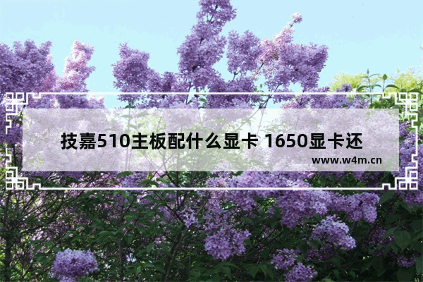 技嘉510主板配什么显卡 1650显卡还在生产吗