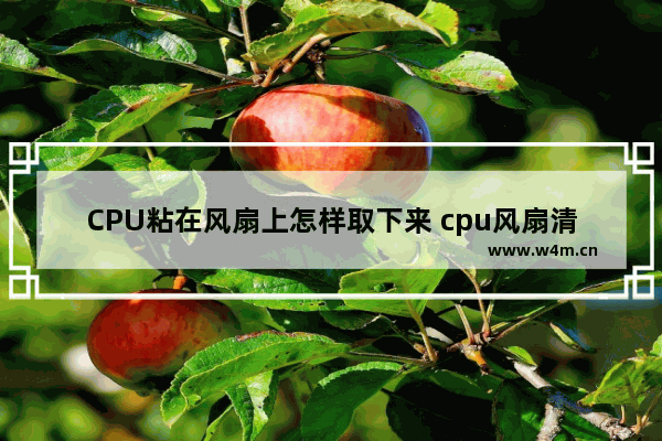 CPU粘在风扇上怎样取下来 cpu风扇清洗