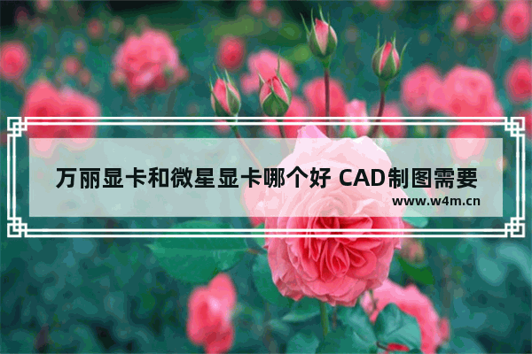 万丽显卡和微星显卡哪个好 CAD制图需要什么显卡