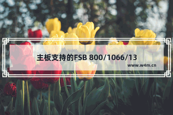 主板支持的FSB 800/1066/1333表示支持的CPU前端总线频率吗 内存是DDR3 1333的那是不是说内存用的1333的FSB cpu总线1333