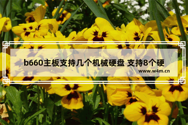 b660主板支持几个机械硬盘 支持8个硬盘主板的电脑