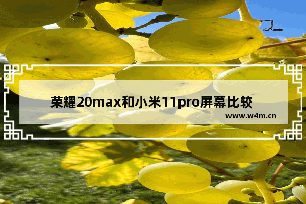 荣耀20max和小米11pro屏幕比较 20显示器尺寸是多少