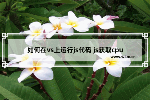 如何在vs上运行js代码 js获取cpu