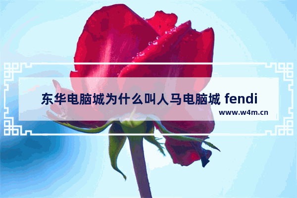 东华电脑城为什么叫人马电脑城 fendi梗