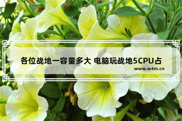 各位战地一容量多大 电脑玩战地5CPU占用高I58400加10605G显卡是不是CPU不行