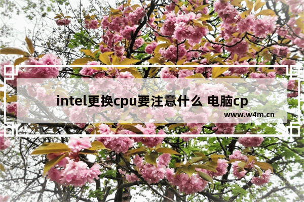 intel更换cpu要注意什么 电脑cpu可以升级吗