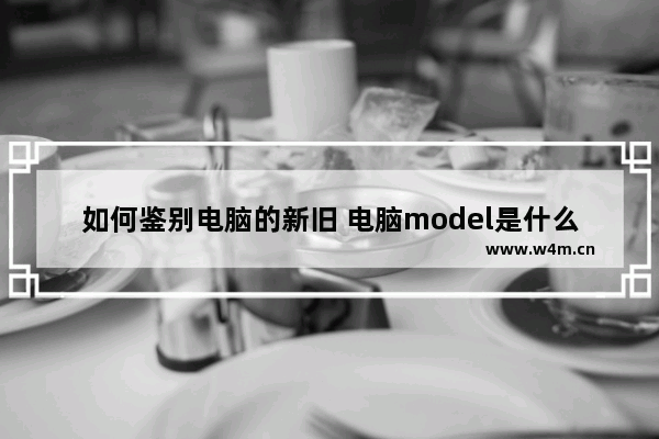 如何鉴别电脑的新旧 电脑model是什么意思