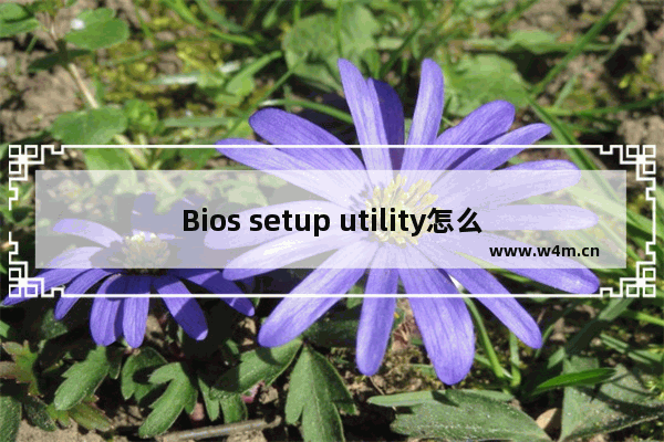 Bios setup utility怎么设置固态硬盘快 固态硬盘优化设置在哪