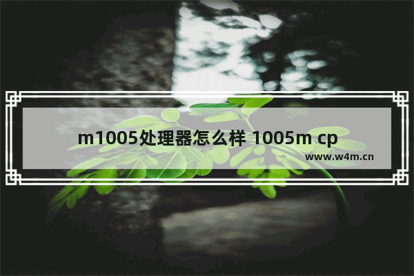 m1005处理器怎么样 1005m cpu