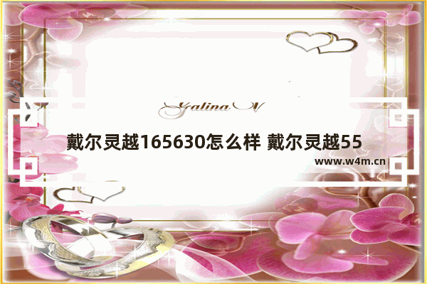 戴尔灵越165630怎么样 戴尔灵越5505值得入手吗