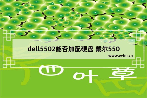 dell5502能否加配硬盘 戴尔5502固态硬盘驱动