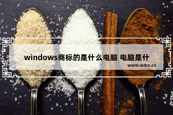 windows商标的是什么电脑 电脑是什么品牌