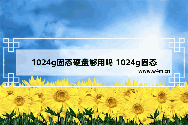 1024g固态硬盘够用吗 1024g固态硬盘