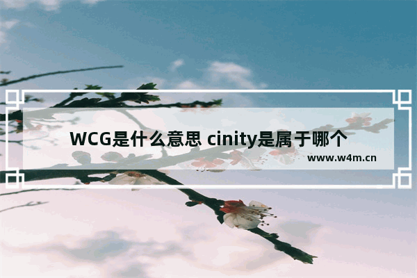 WCG是什么意思 cinity是属于哪个公司的