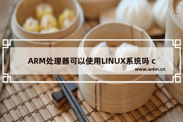 ARM处理器可以使用LINUX系统吗 cpu z for linux