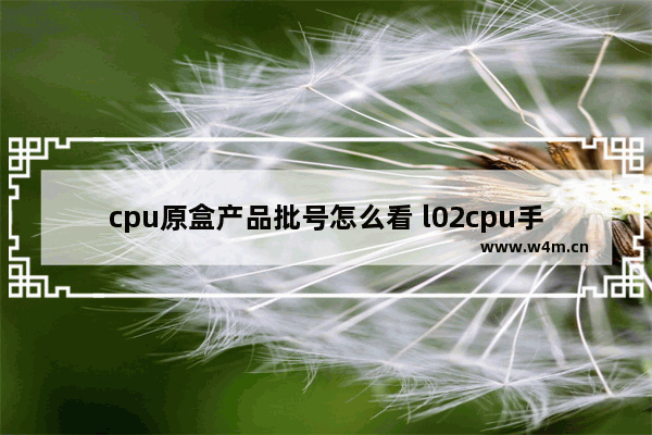 cpu原盒产品批号怎么看 l02cpu手册