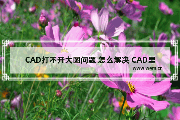 CAD打不开大图问题 怎么解决 CAD里的圆显示为多边形怎么办