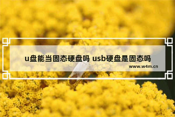 u盘能当固态硬盘吗 usb硬盘是固态吗