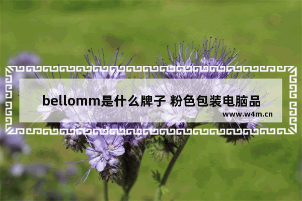 bellomm是什么牌子 粉色包装电脑品牌