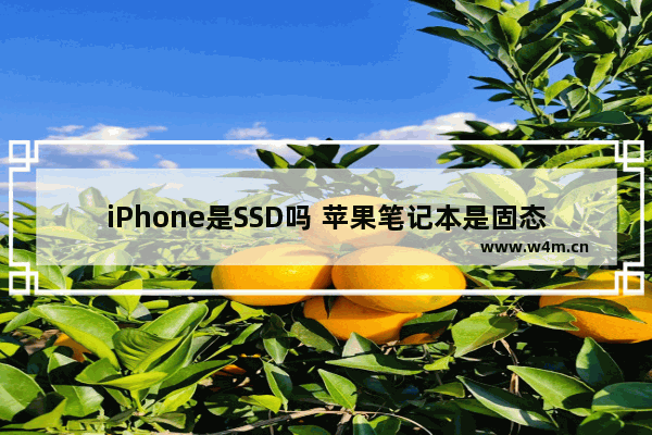 iPhone是SSD吗 苹果笔记本是固态硬盘吗