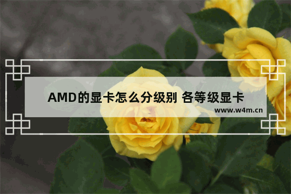 AMD的显卡怎么分级别 各等级显卡