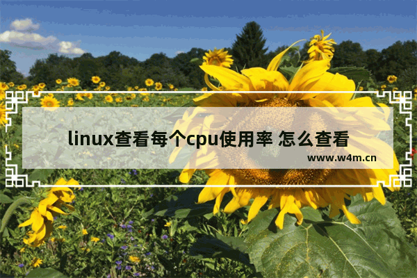 linux查看每个cpu使用率 怎么查看linux的cpu