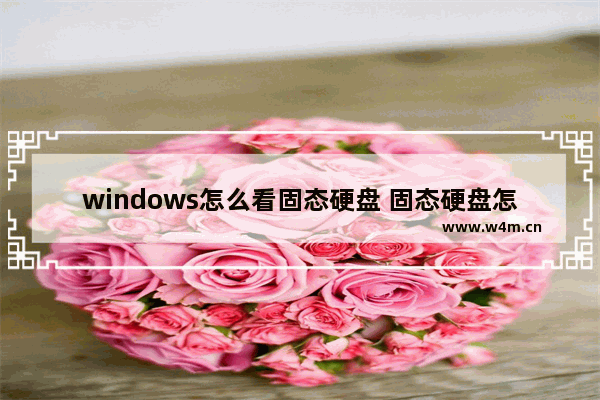 windows怎么看固态硬盘 固态硬盘怎样看状态