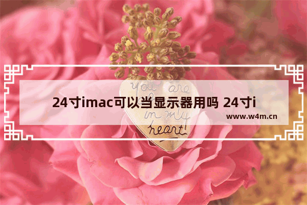 24寸imac可以当显示器用吗 24寸imac的屏幕水平