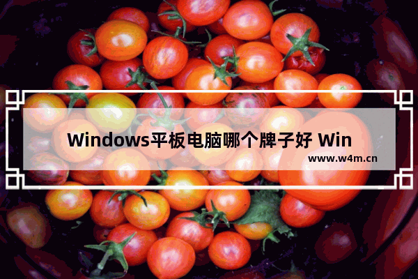 Windows平板电脑哪个牌子好 Windows品牌的电脑