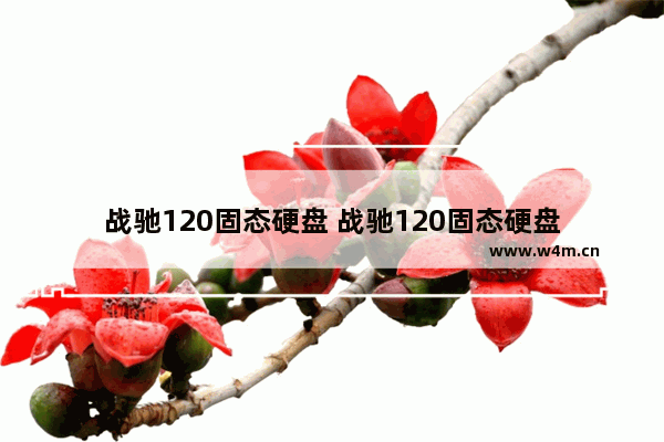 战驰120固态硬盘 战驰120固态硬盘