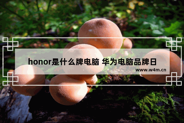 honor是什么牌电脑 华为电脑品牌日