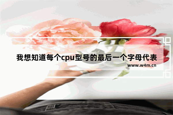 我想知道每个cpu型号的最后一个字母代表什么 cpu后的数字代表什么