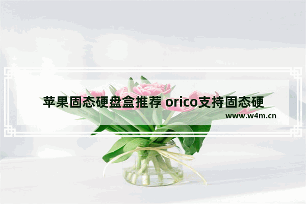 苹果固态硬盘盒推荐 orico支持固态硬盘吗