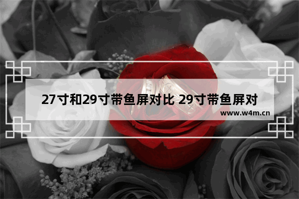 27寸和29寸带鱼屏对比 29寸带鱼屏对比24寸显示器