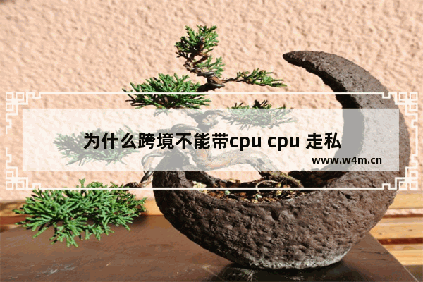 为什么跨境不能带cpu cpu 走私