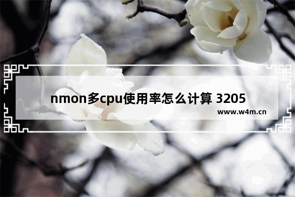 nmon多cpu使用率怎么计算 3205u是什么cpu