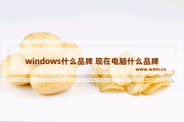 windows什么品牌 现在电脑什么品牌